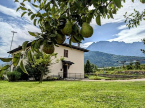 Lakeview apartment Pergine Valsugana